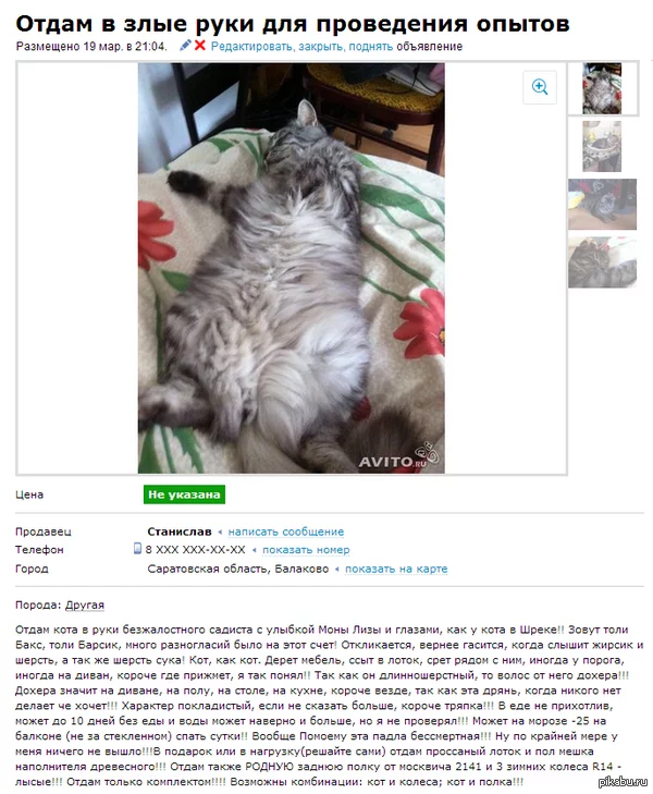 1396800100_815961791.webp