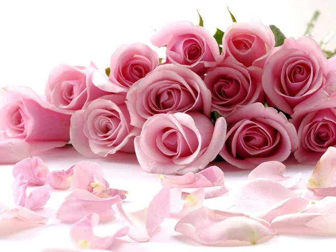1398454595_flowers_01.webp