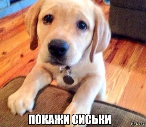 1398597379_1484599449.webp