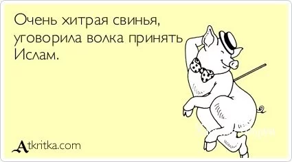 139afefd1d3e6fc60.webp