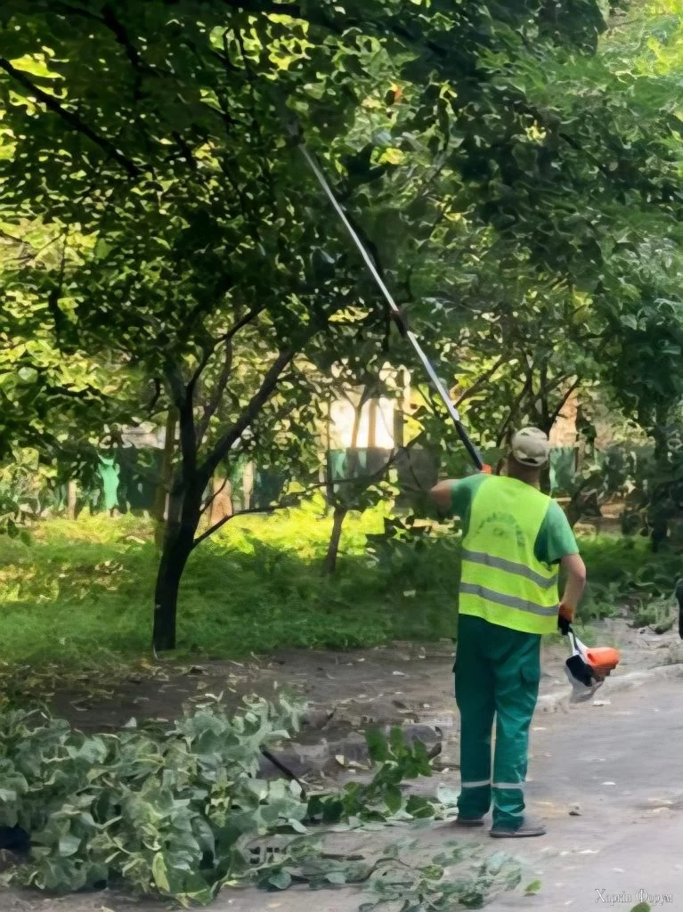 деревья срезают в Харькове