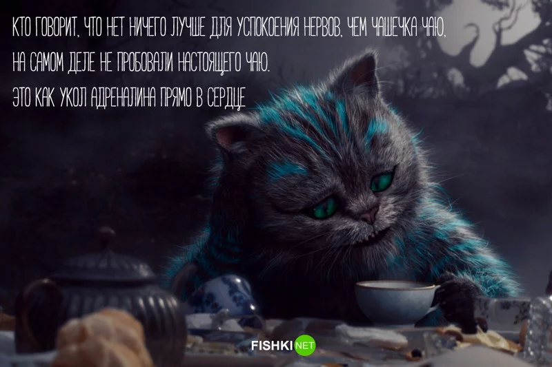 13_6.webp
