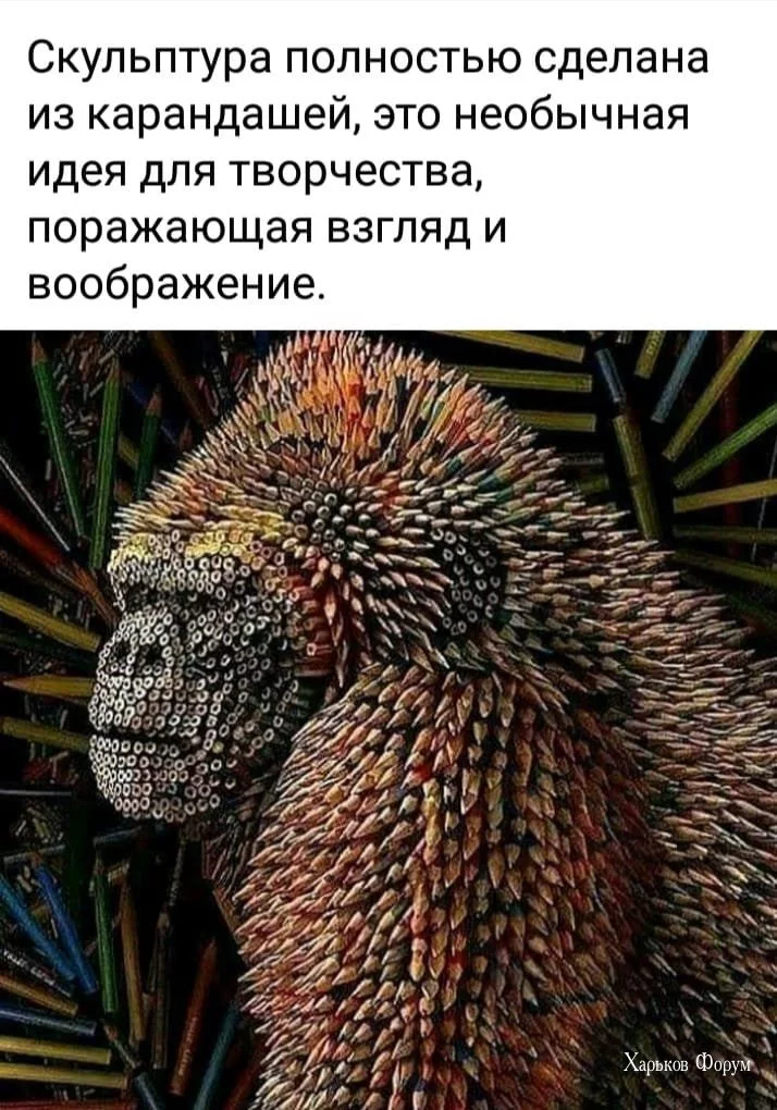 13aa755325ac67fe47c79d4.webp