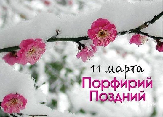 13afdf262bfbd5b9c37f0b.webp