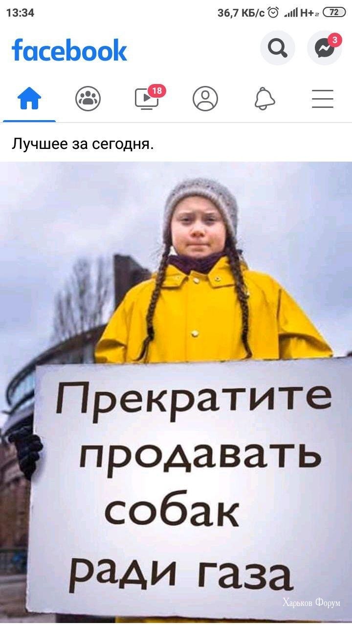 13d12d5d48dbd302937b.jpg