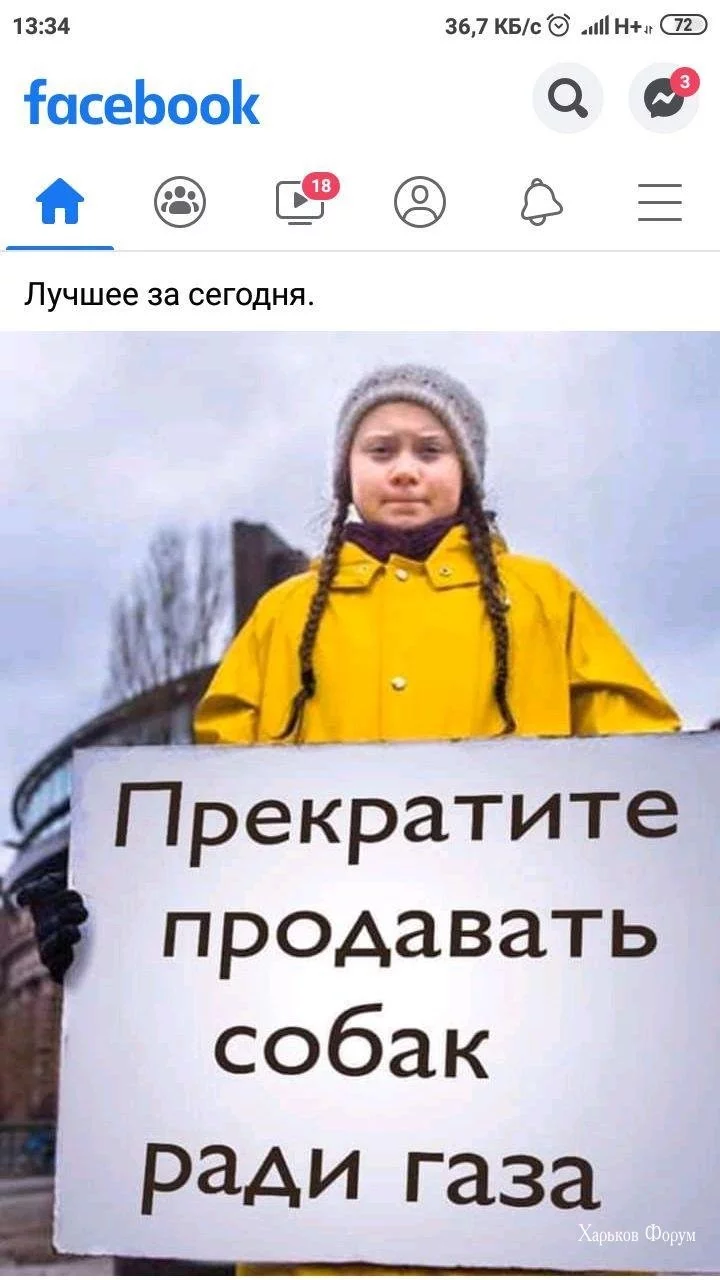 13d12d5d48dbd302937b.webp