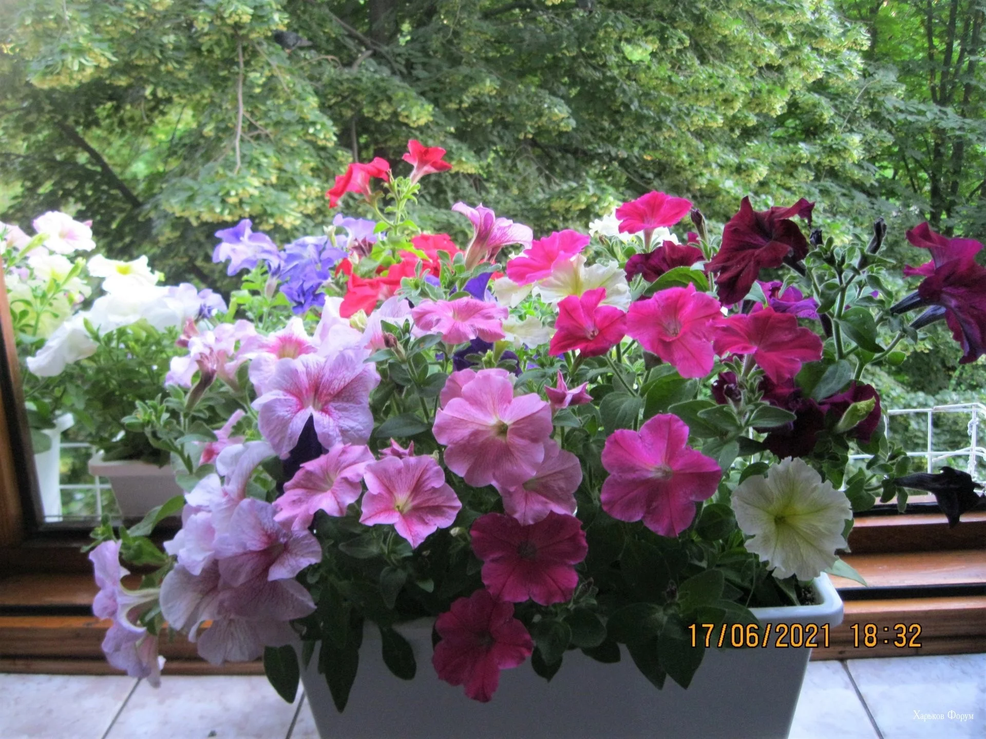13d1ab2aa9e401ac.webp