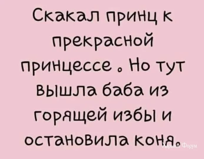 13d2a7bd4191cdf8d.webp