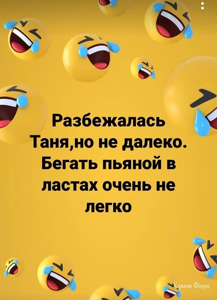 13d42a597d0613a821b.webp