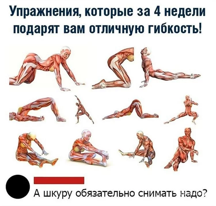 13d48e3abda9d740.webp