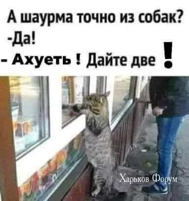 13f99eda4fc44a8df05a03d6.webp
