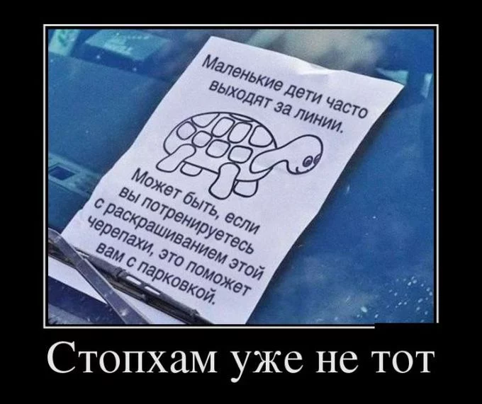 14.webp