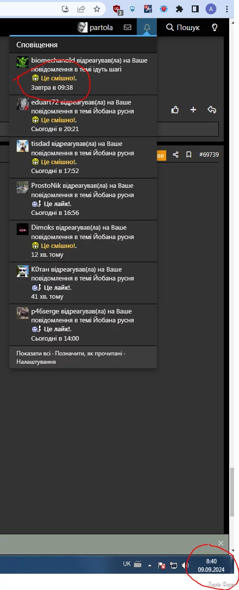 14.webp