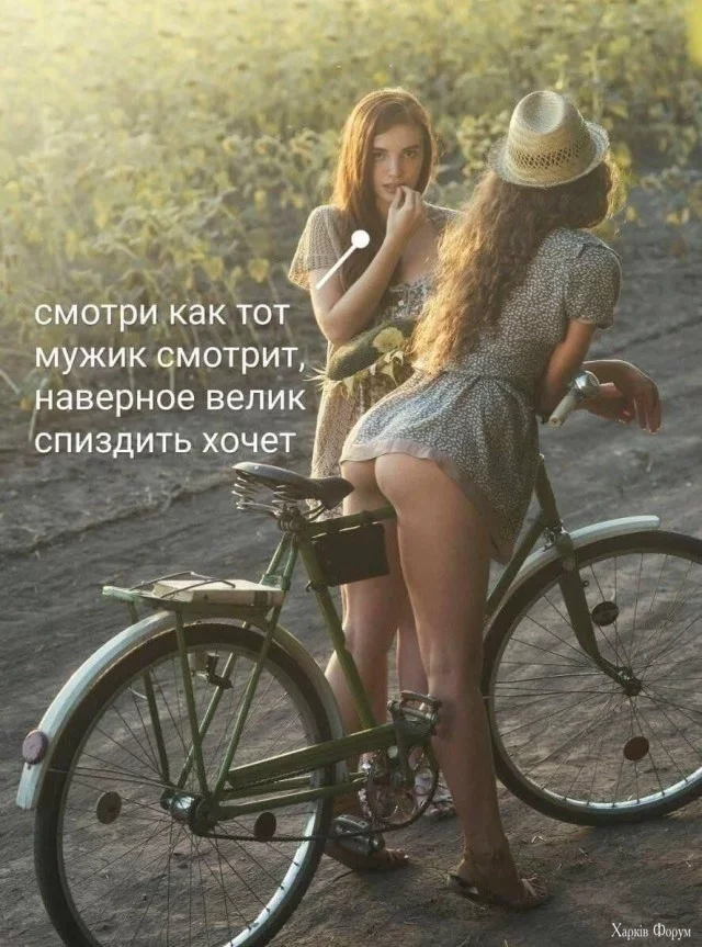 14.webp