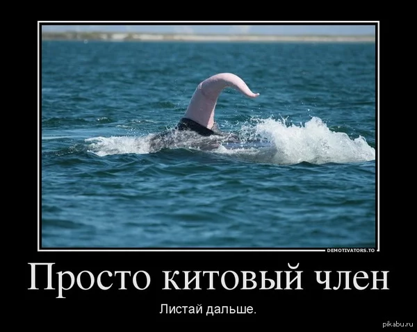 1400180632_730848208.webp