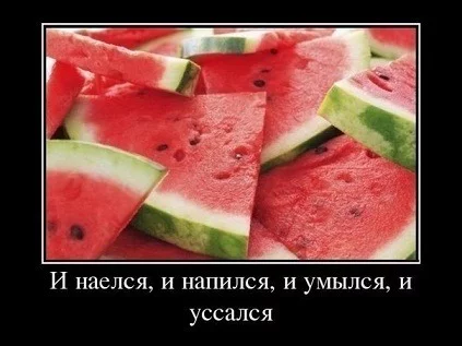 140178823519265661.webp