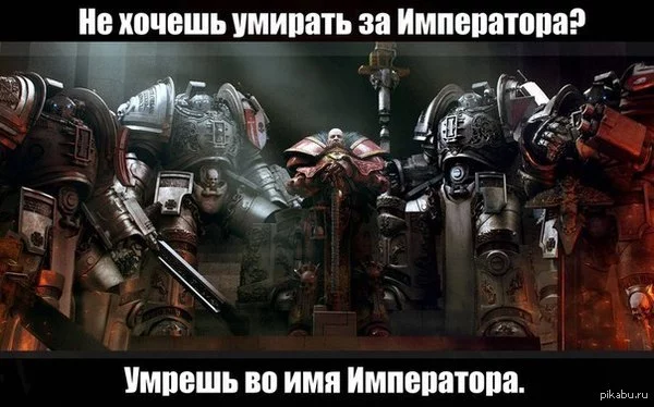 1402919012_1584033644.webp