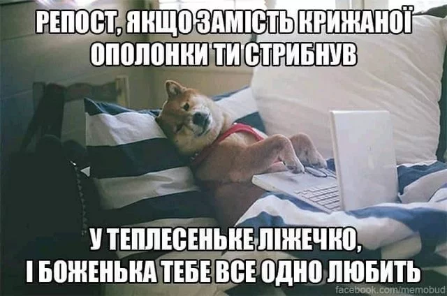140309777-3837188699660917-2424825008161454766-n.webp
