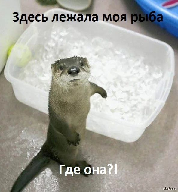 1403808789_967685101.webp