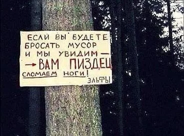 140460397476311558.webp