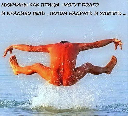 140460397674705736.webp