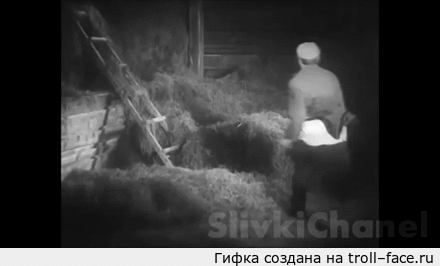14056112129133.gif