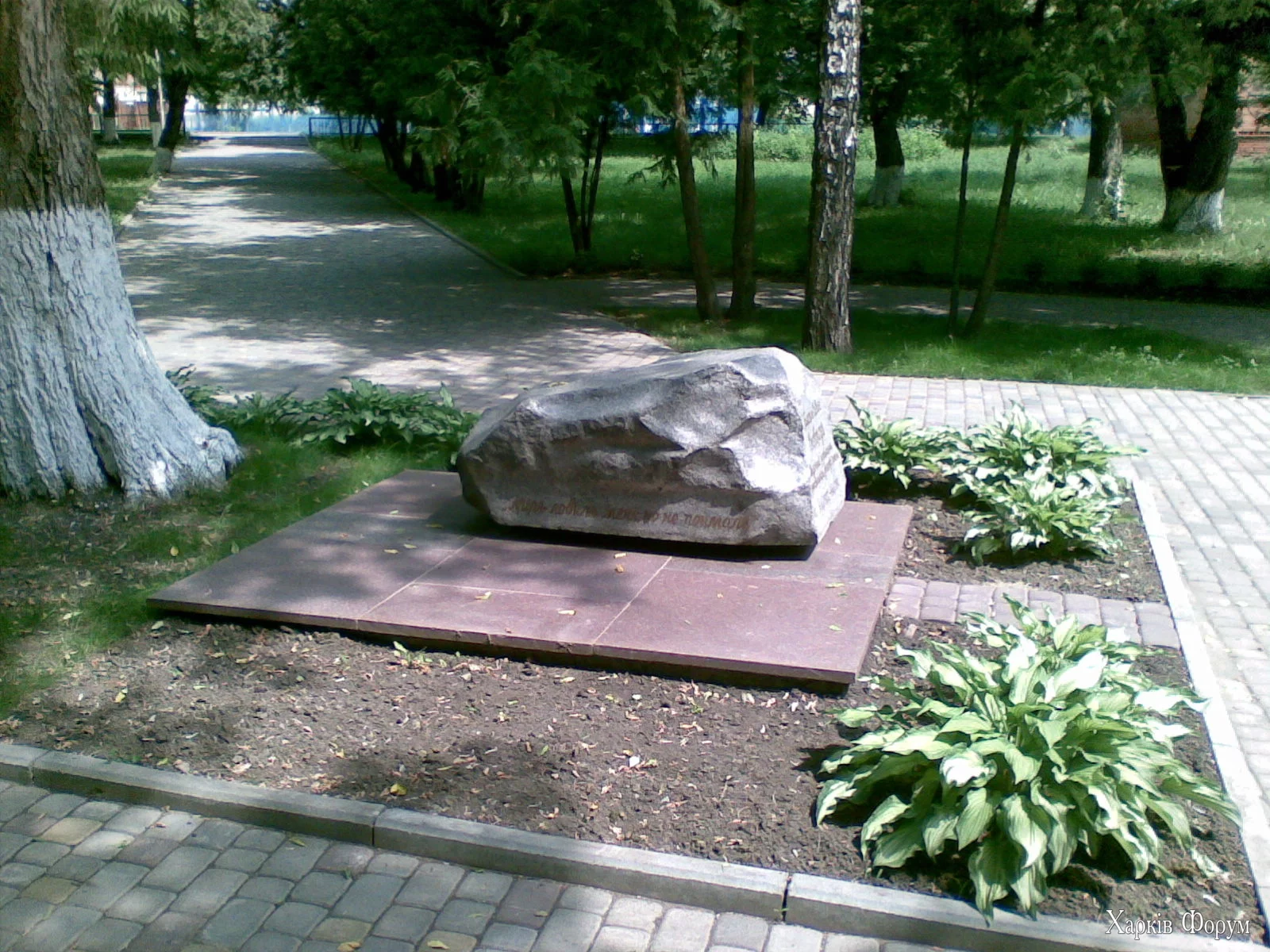 14062008(001).webp