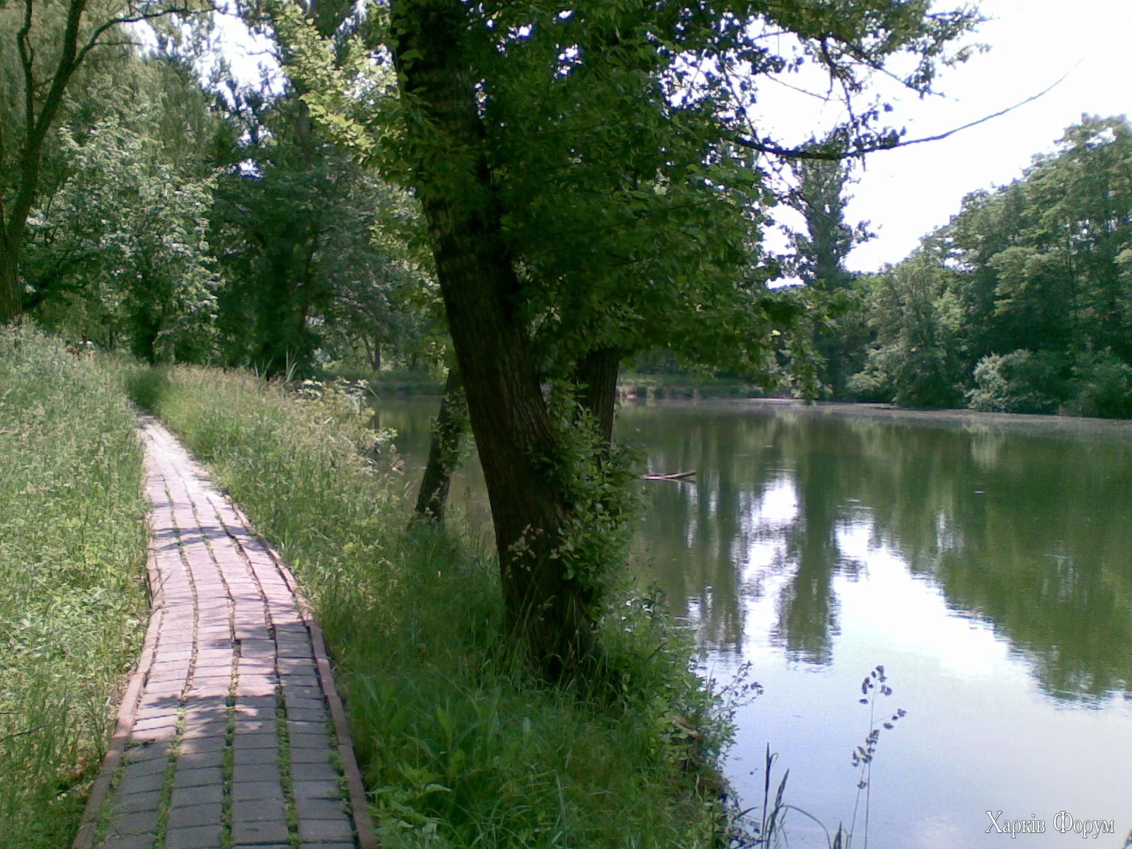 14062008(017).webp