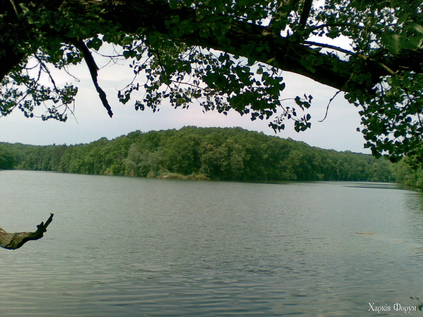 14062008(025).webp