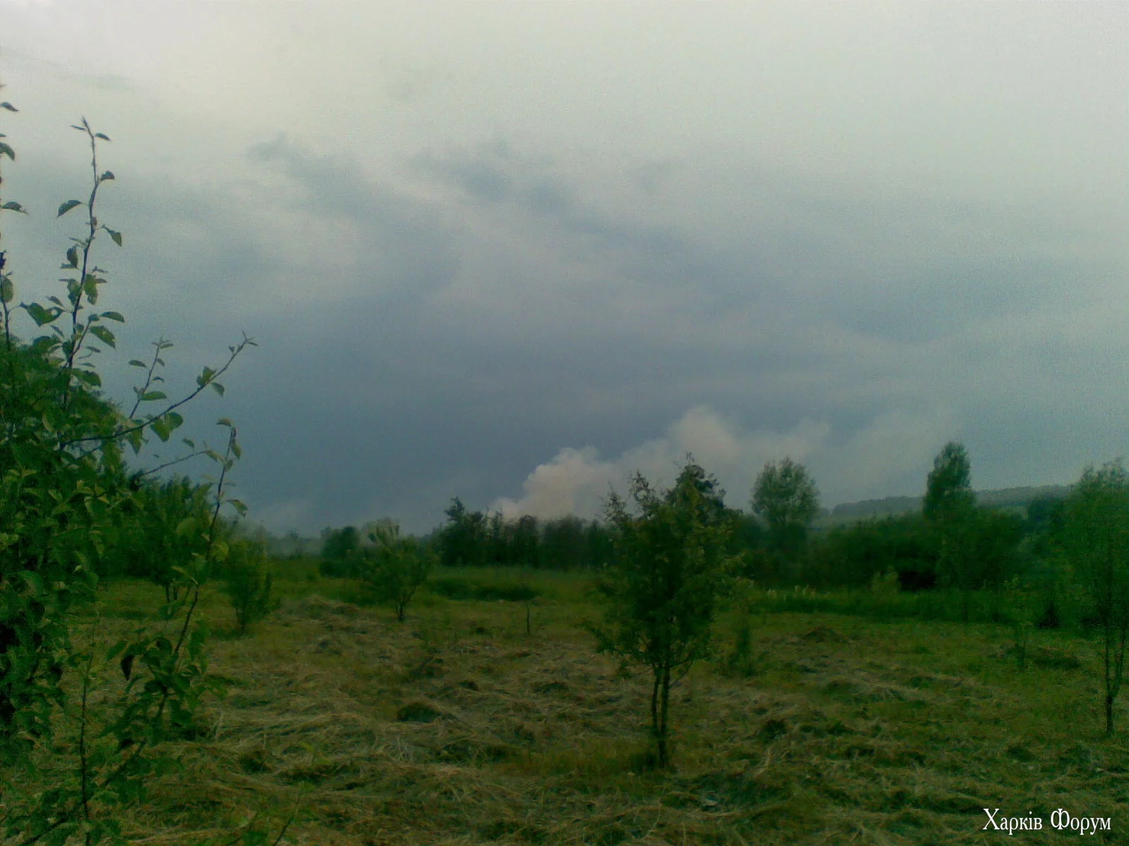 14062008(049).webp