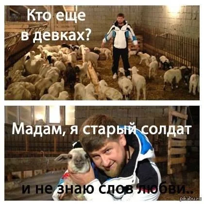 1406382271_blogozhaba03.webp