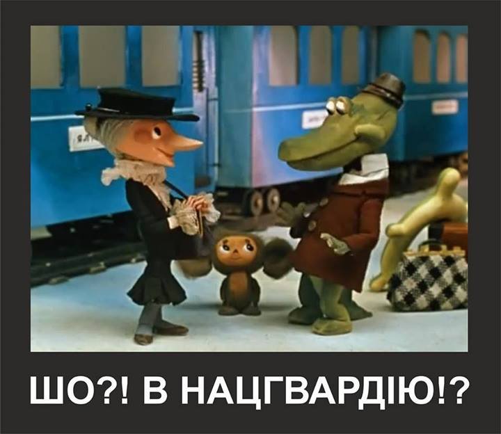 1406633213_blogozhaba51.jpg