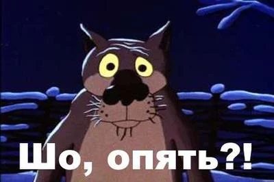 14074310003998.webp