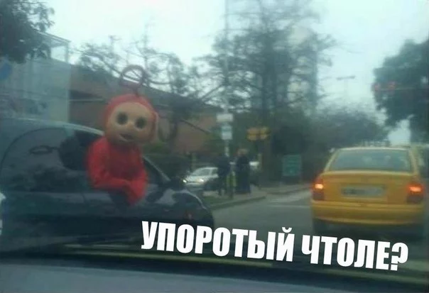 14083528793937.webp