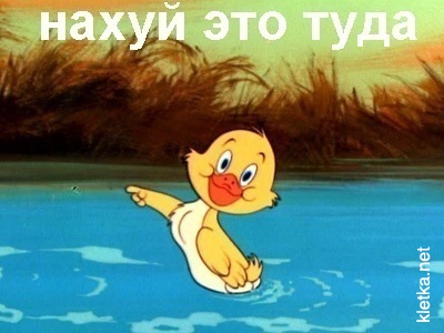 14087187086724.jpg