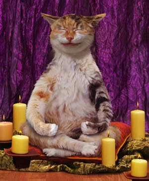 14104987775840.webp