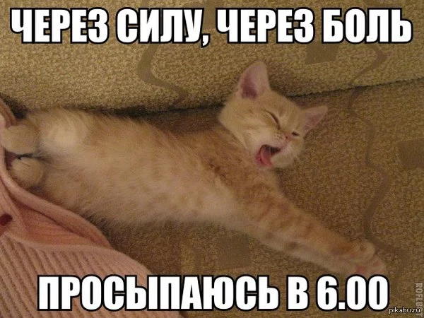 1410814702_596999396.webp