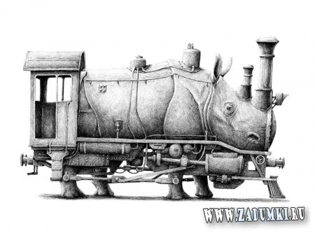 1411429524_rhinotrain.webp