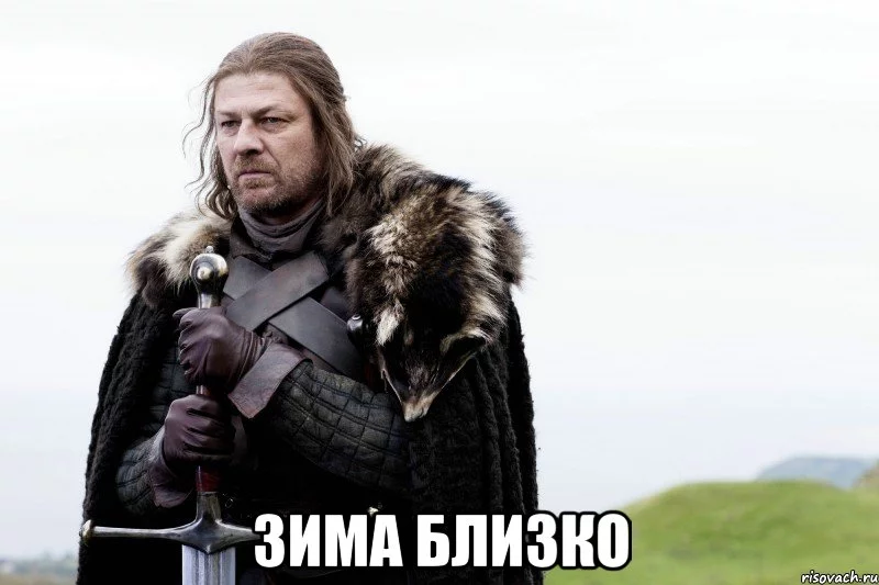 14116533308431.webp