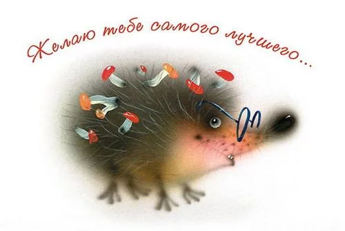 14125799_8703.webp