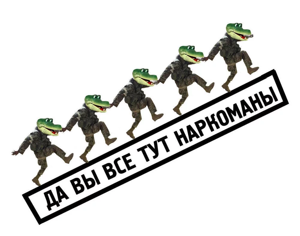 14125996813958.webp