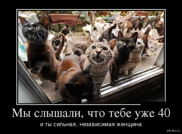 1413049974_1785081635.webp