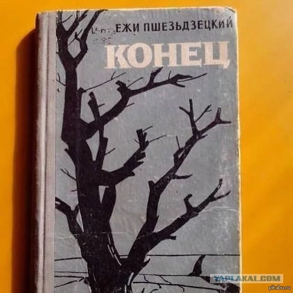 1413299717_2054502196.webp