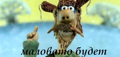 14134905246973.webp