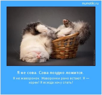 1413568126.webp