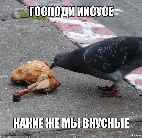 14149084239244.webp