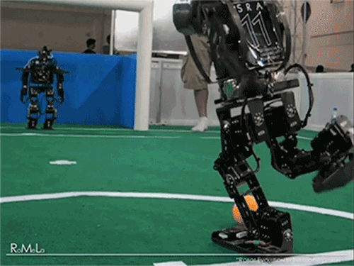 1417504301_643847085.gif