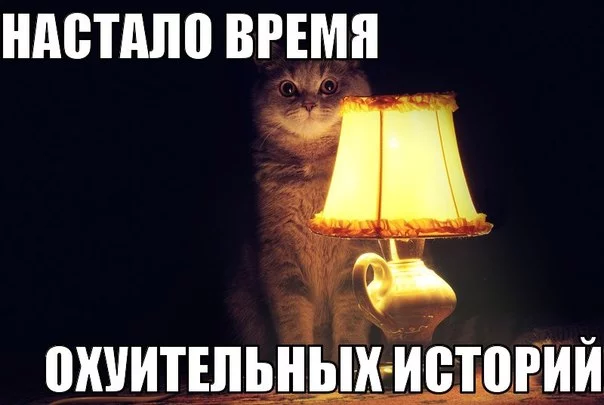 14195316195071.webp
