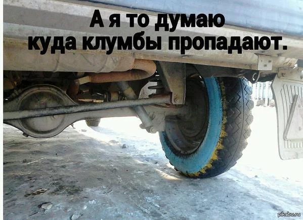 1421609491_1910840061.webp