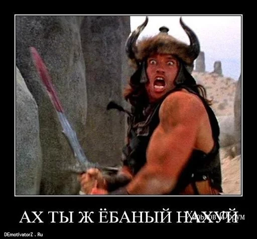 1421a3678ecbb7b4a543.webp